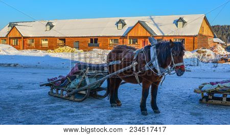 Horse Cart At Snow Village In Mohe County, Heilongjiang, China.