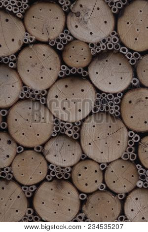 A Home Of Holes In Wood And Hollow Tubes Made For Bees Who Cannot Find Their Hive.