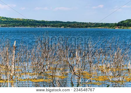 Beautiful Landscape With Several Dry Trees Growing In Lake Tambukan