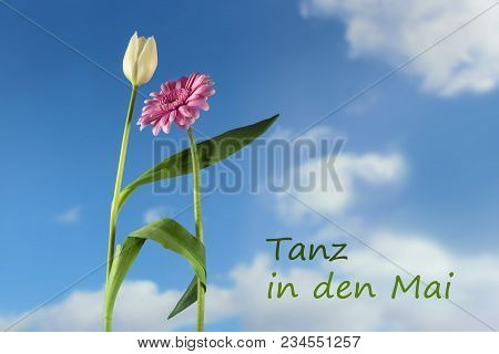 Dancing Flowers, A White Tulip And A Pink Gerbera Against The Blue Sky With Clouds, German Text Tanz