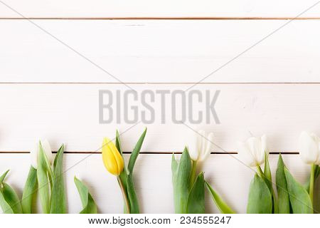 Flowers Composition. Frame Made Of White Flowers On White Background. Valentine's Day. Flat Lay, Top