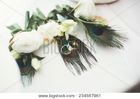 Two Golden Wedding Rings Isolated Background Concept.