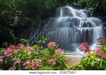 Mun Dang Waterfall With A Pink Flower Foreground In Rain Forest At Phitsanulok Province, Thailand