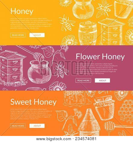 Vector Horizontal Web Banners Illustration With Hand Drawn Honey Elements And Place For Text