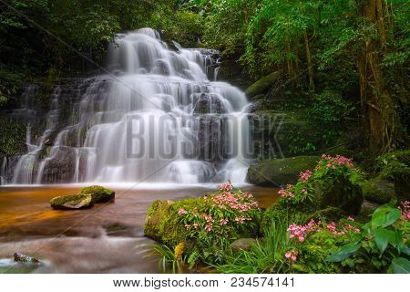 Mun Dang Waterfall With A Pink Flower Foreground In Rain Forest At Phitsanulok Province, Thailand