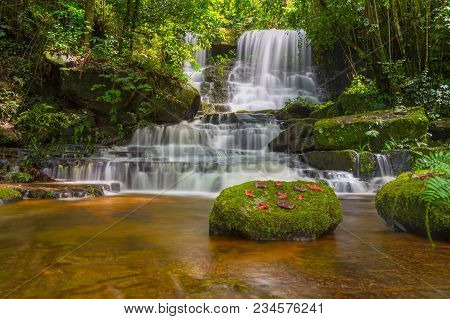 Mun Dang Waterfall With A Pink Flower Foreground In Rain Forest At Phitsanulok Province, Thailand