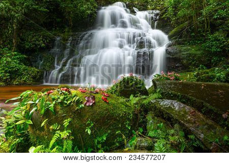 Mun Dang Waterfall With A Pink Flower Foreground In Rain Forest At Phitsanulok Province, Thailand