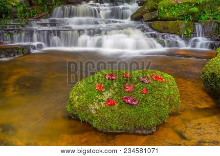 Mun Dang Waterfall With A Pink Flower Foreground In Rain Forest At Phitsanulok Province, Thailand