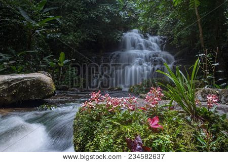 Mun Dang Waterfall With A Pink Flower Foreground In Rain Forest At Phitsanulok Province, Thailand