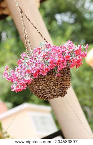 Pink Flower Basket Hanging On The Garden.