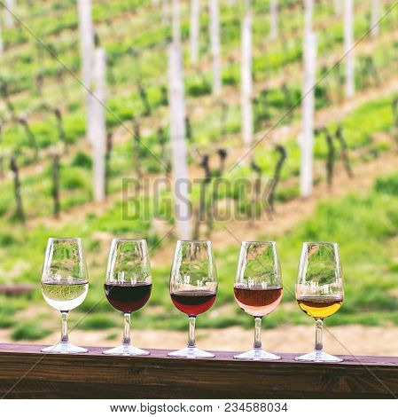 Glasses With Wine. Red, Pink, White Wine In Glasses. Set Of Glasses With Red, White And Rose Wine Ta