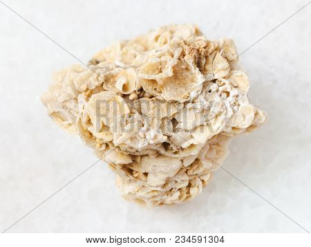 Macro Shooting Of Natural Mineral Rock Specimen - Rough Coquina Limestone Stone On White Marble Back