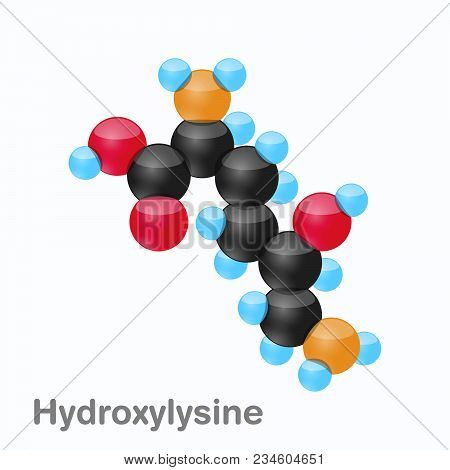 Molecule Of Hydroxylysine, Hyl, An Amino Acid Used In The Biosynthesis Of Proteins, Vector Illustrat