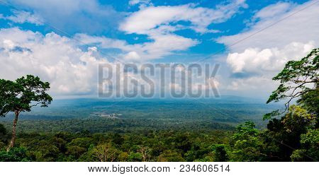 Beautiful View Of Tropical Forest At Khao Yai National Park In Thailand. World Heritage. Green Dense