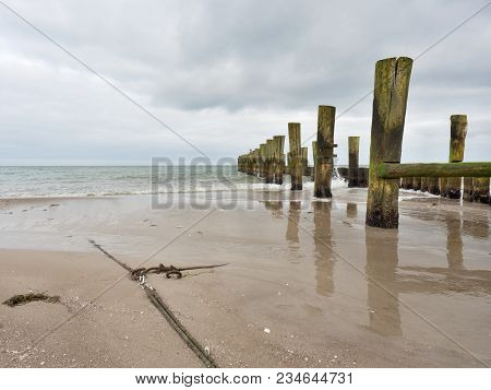 Mossy Breakwater Poles In Smooth Water Of Sea Within Windless. Sandy Beach Wit Algae, Stones And She