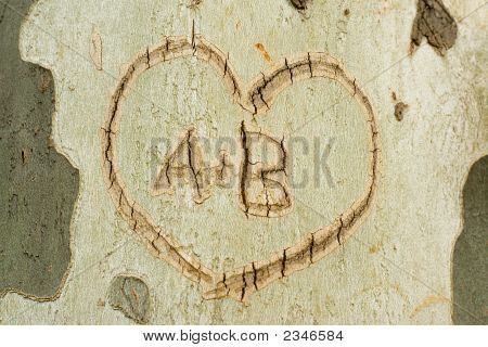 Hjertet tegn på træet