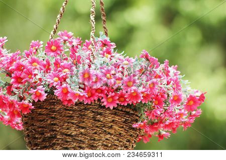 Pink Flower Basket Hung Decorate The Garden.