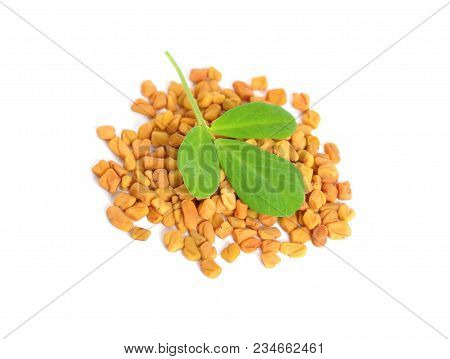 Fenugreek Seed With Leawes. (trigonella Foenum-graecum) Isolated On White.