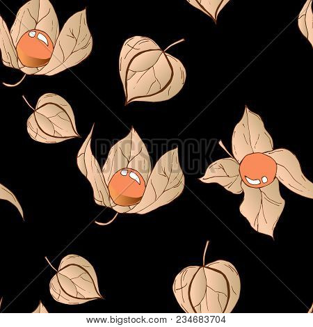 Vector Seamless Colored Physalis Berry Pattern On Black Background.