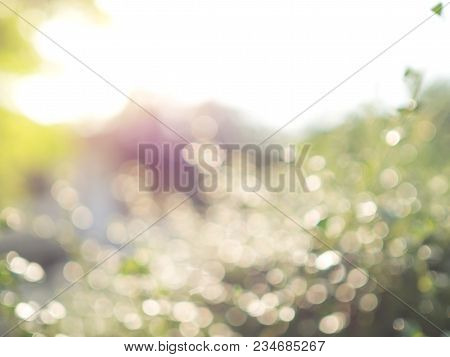 Natural - Blurred Nature, Abstract Bokeh Background