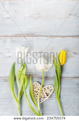 Flowers Composition. Frame Made Of White Flowers On Blue Background