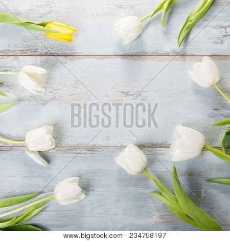 Flowers Composition. Frame Made Of White Flowers On Blue Background