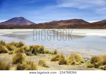 Laguna Hedionda At Eduardo Avaroa Andean Fauna National Reserve In Bolivia