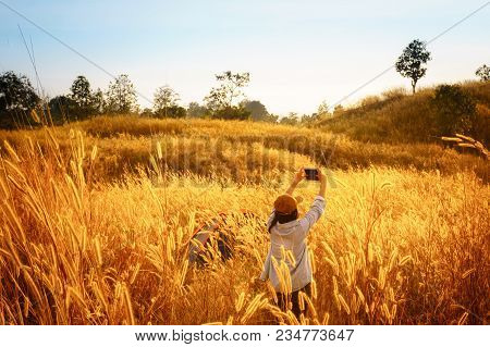 Outdoors Camping Grass Highlands Mountain In The Sunset.