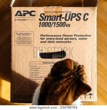 Paris, France - Mar 29, 2018: Above View Of Curious Cat Inspecting Apc Smart-ups C 1000va Lcd 230v E