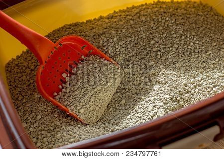 Cat Toiler - Litter In A Box With Red Plastic Scoop