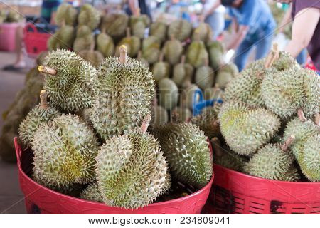 Durian King Of Fruit