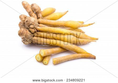 Finger Root Ingredients For Thai Cuisine And Thai Herb On White Background