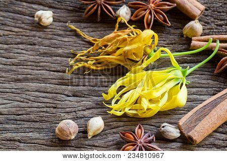 Yellow Thai Ylang-ylang Or Ilang-ilang Flower On Rustic Wooden Background