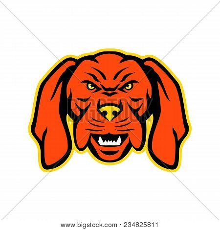 Mascot Icon Illustration Of Head Of An Angry And Aggressive Hungarian Or Magyar Vizsla Sporting, Poi