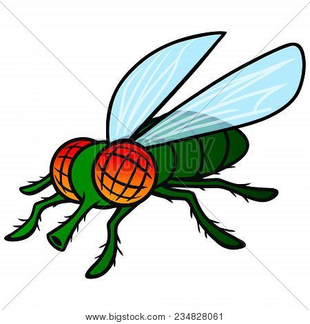 Fly Mascot - A Vector Cartoon Illustration Of A Fly Mascot.