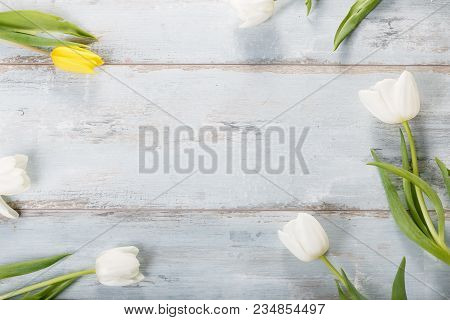 Flowers Composition. Frame Made Of White Flowers On Blue Background