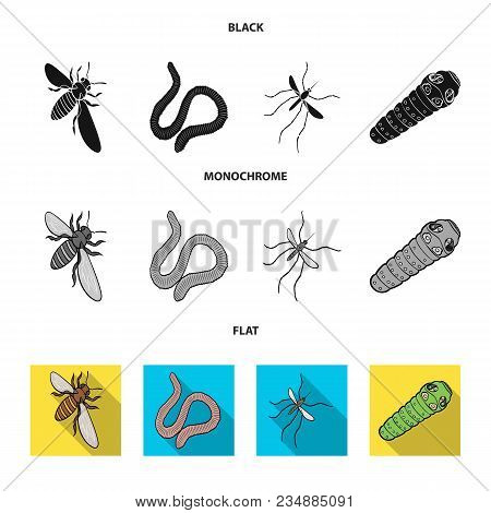 Arthropods Insect Mosquito, Bee.earth Worm, Caterpillar, Vermicular Set Collection Icons In Black, F
