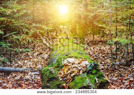 Steps Leading Up To The Sun.  Way To God .  Bright Light From Heaven .  Religious Background  .beaut