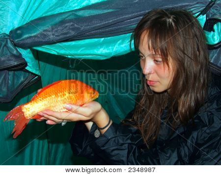 Poisson d'or