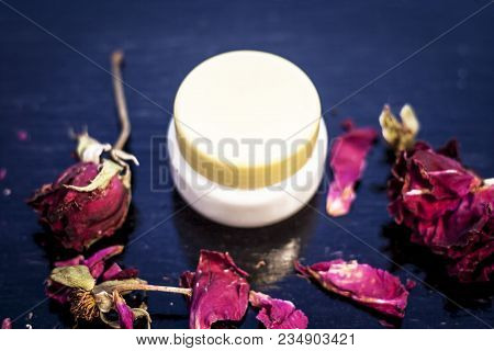 Close Up Of Cream Rose Or Gulab Or Rosa With Fresh Petals Of Rose On Black Wooden Surface It Is An A