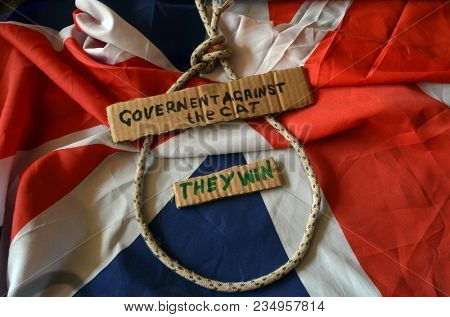 The scandal about poisoning of former Russian spy and killing his cat. Animal abuse.Concept. British Flag background.