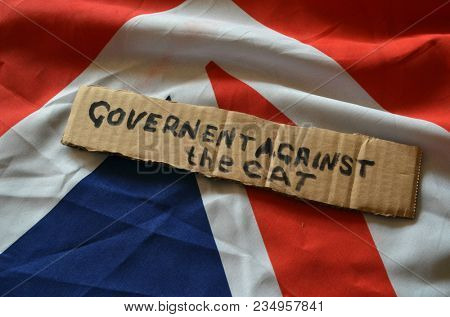 The scandal about poisoning of former Russian spy and killing his cat. Animal abuse.Concept. British Flag background.