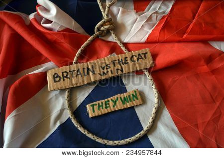 The scandal about poisoning of former Russian spy and killing his cat. Animal abuse.Concept. British Flag background.