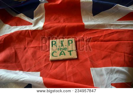 The scandal about poisoning of former Russian spy and killing his cat. Animal abuse.Concept. British Flag background.