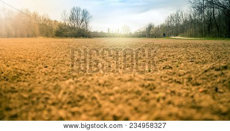 Agricultural Land Field Cultivation Cropland Low Angle At Sunrise