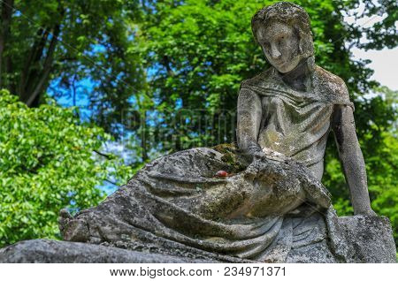 Lychakiv Cemetery - Lviv, Ukraine