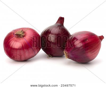 Rote Zwiebel-Knolle, die isoliert auf weißem Hintergrund