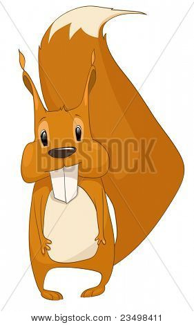 Esquilo de personagem de desenho animado isolado no fundo branco. Vector.