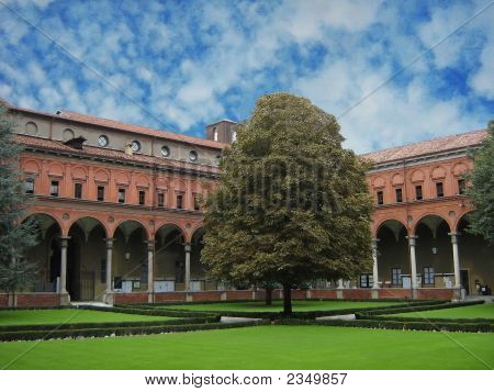 Universita Rit