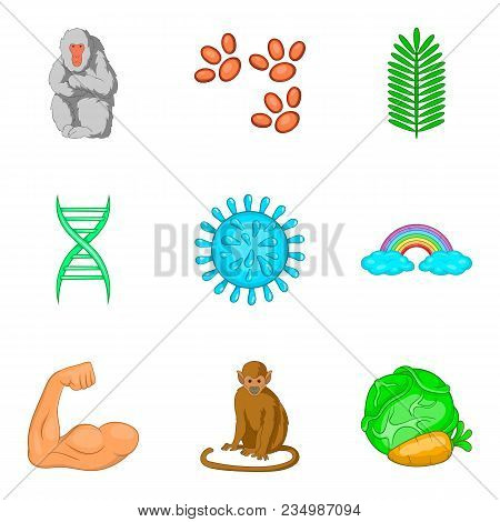 Tropical Animal Icons Set. Cartoon Set Of 9 Tropical Animal Vector Icons For Web Isolated On White B